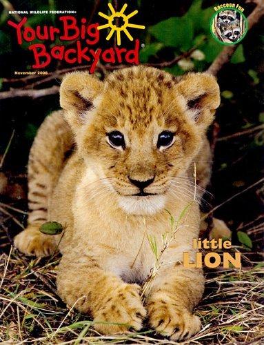 Your Big Backyard Magazine TopMags