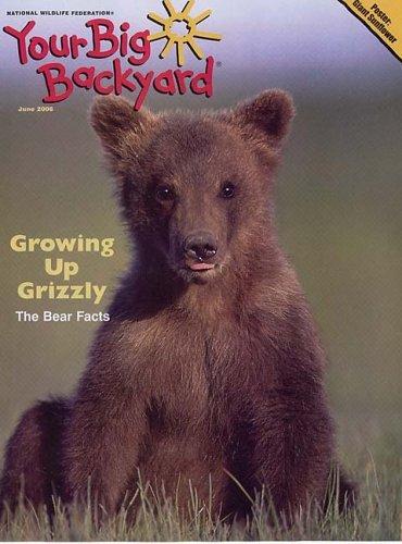 Your Big Backyard Magazine TopMags