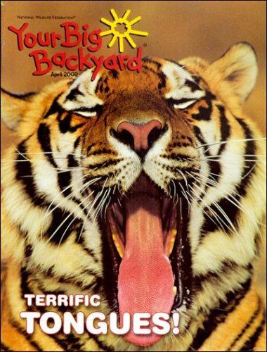 Your Big Backyard Magazine TopMags