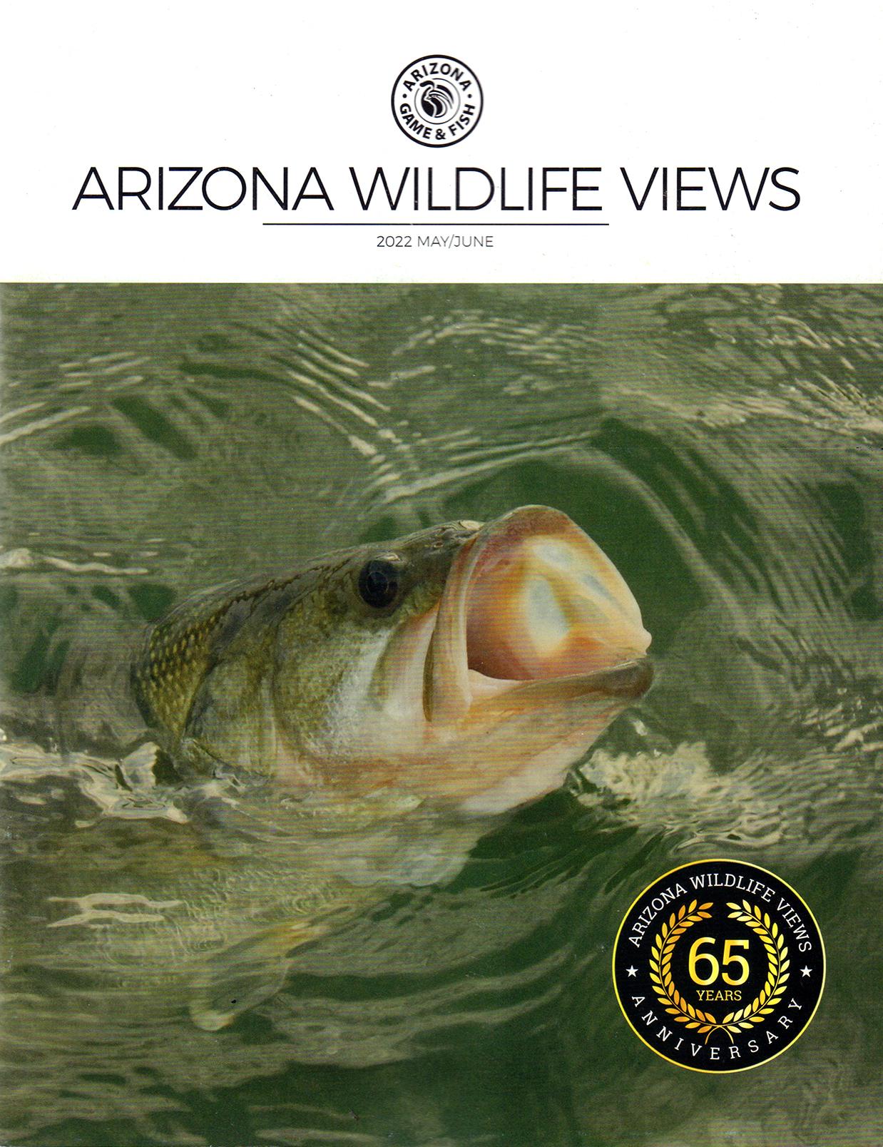 Arizona Wildlife Views
