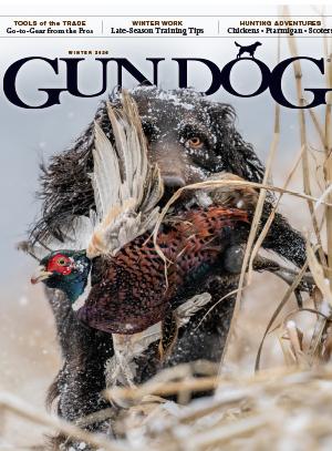 Gun Dog