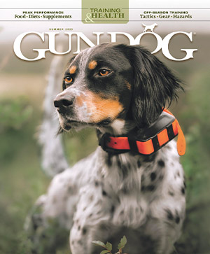 Gun Dog