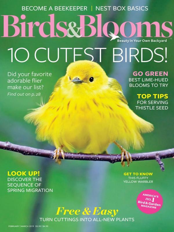 Birds & Blooms Magazine | TopMags