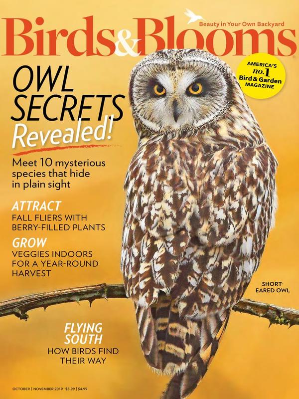 Birds & Blooms Magazine | TopMags