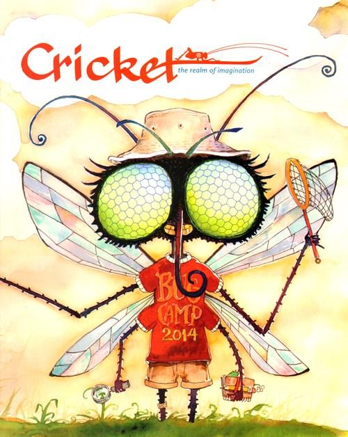 Cricket