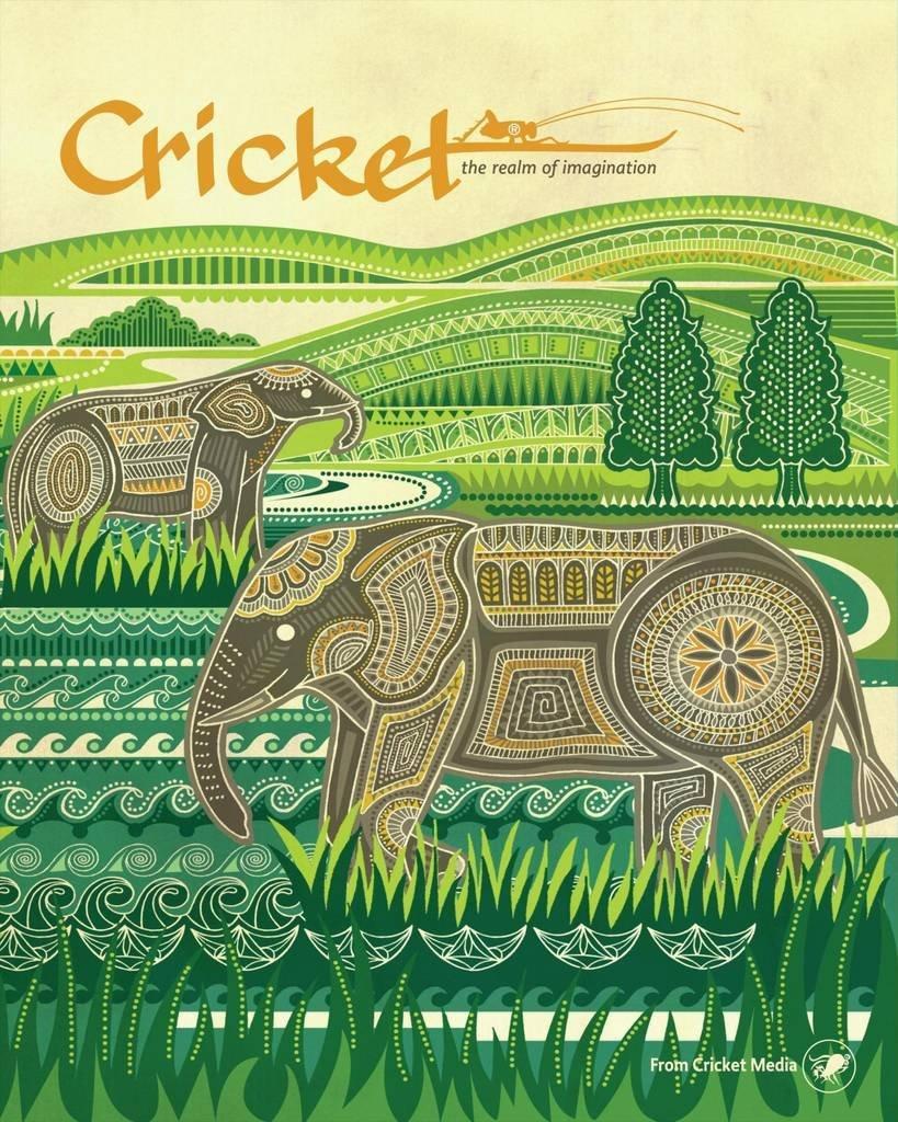 Cricket