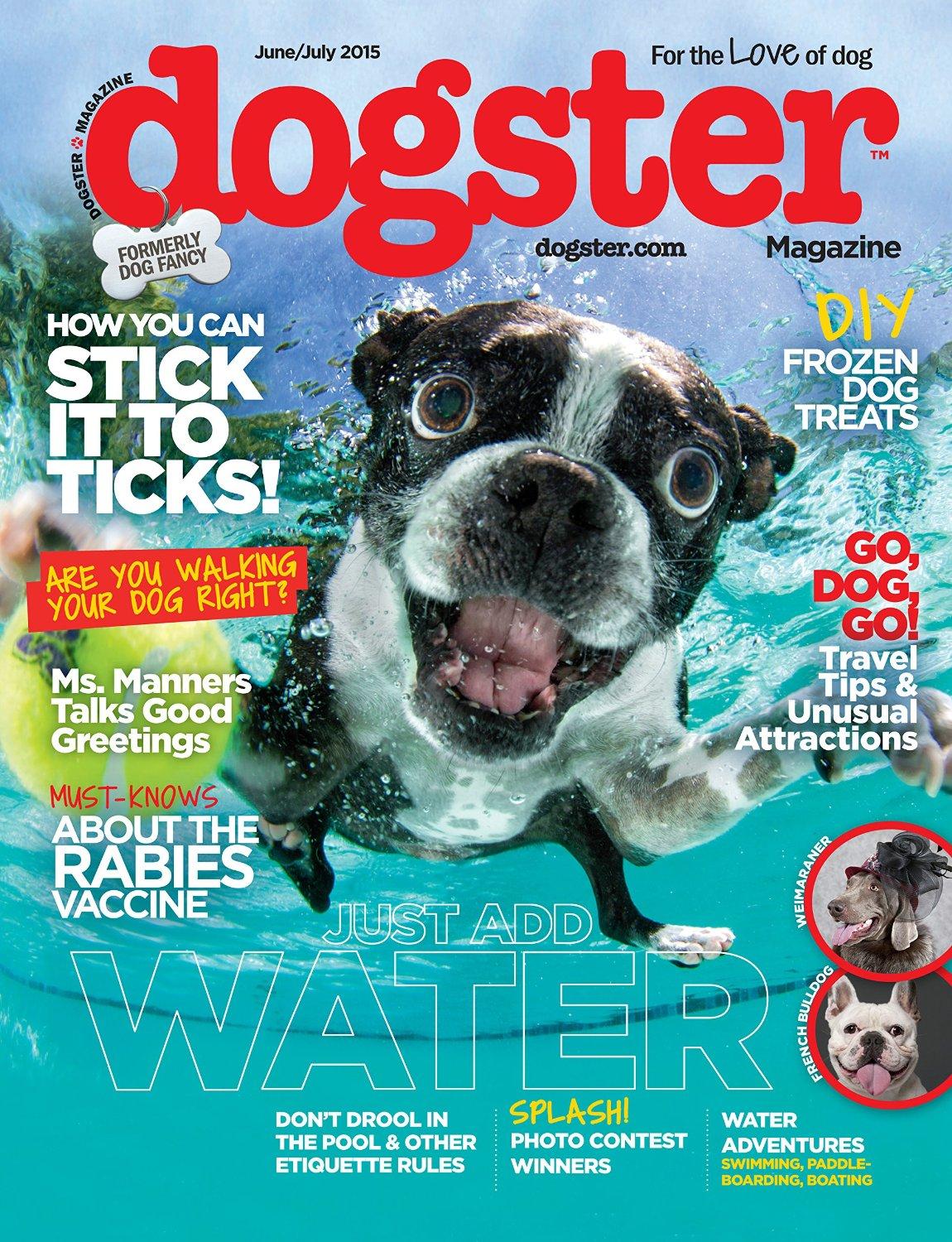 Dogster Magazine TopMags