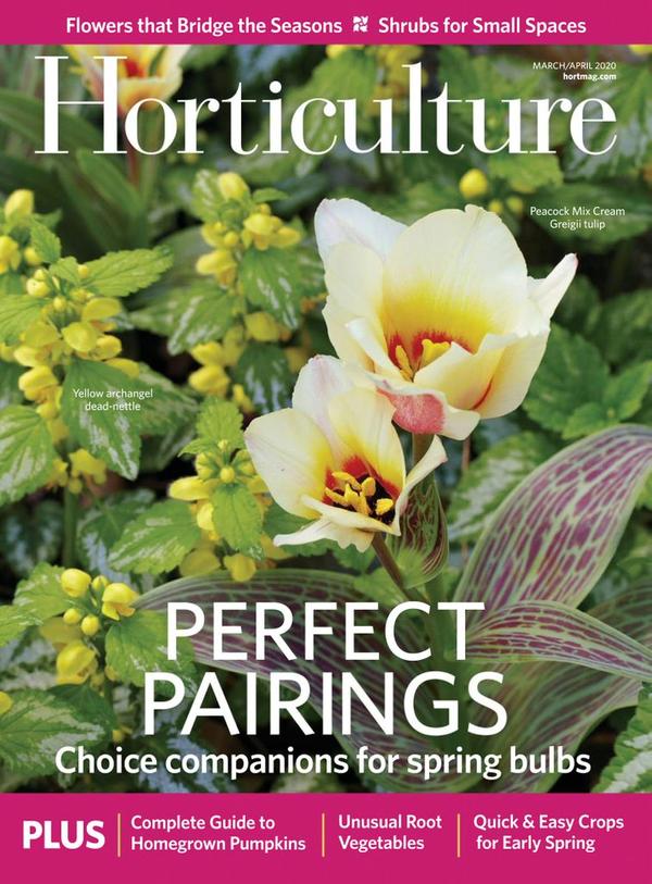 Horticulture Magazine | TopMags