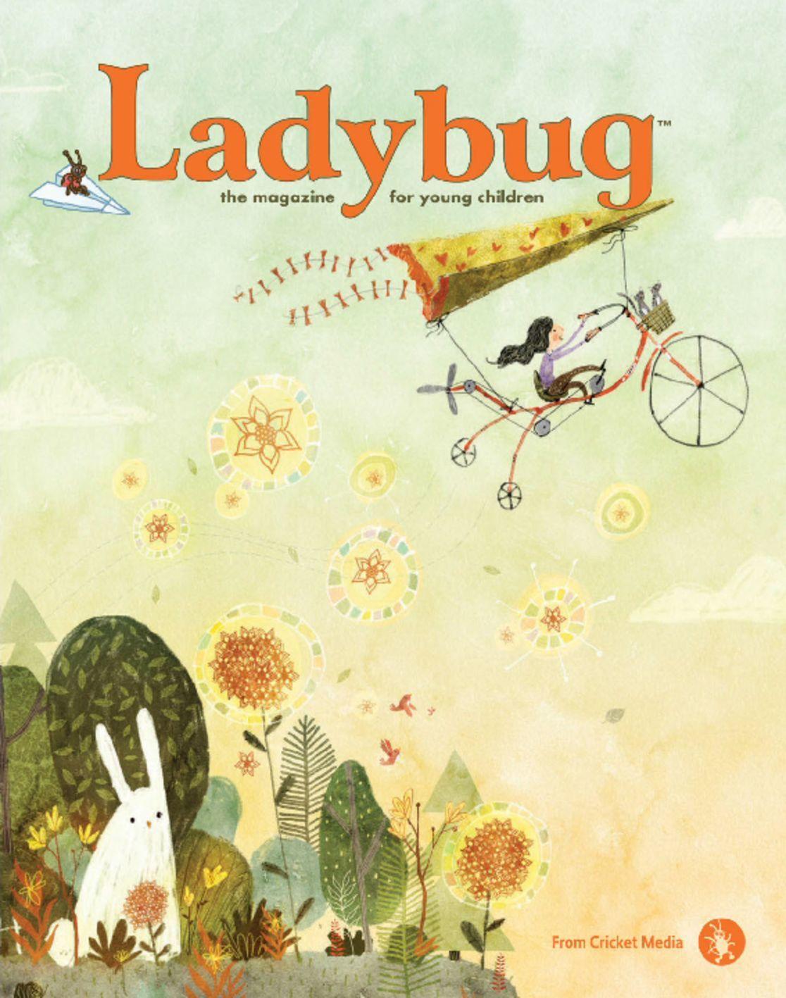 Ladybug