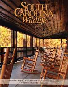 South Carolina Wildlife