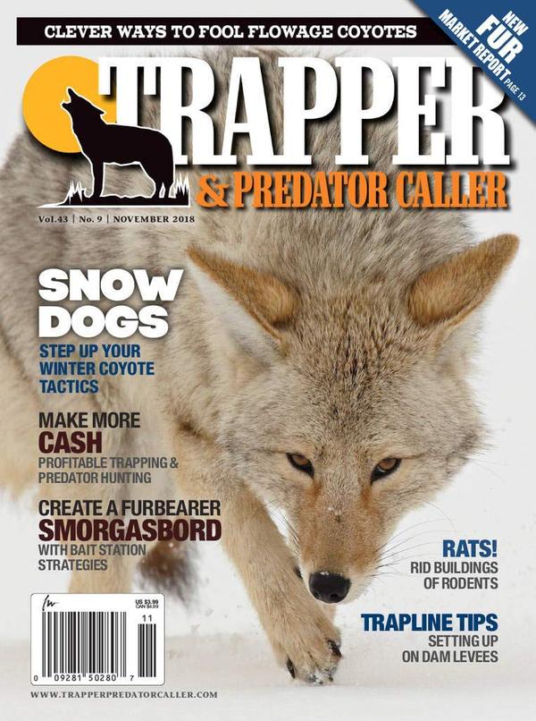 Lure Strategies for Coyotes and CatsTrapper Predator Caller