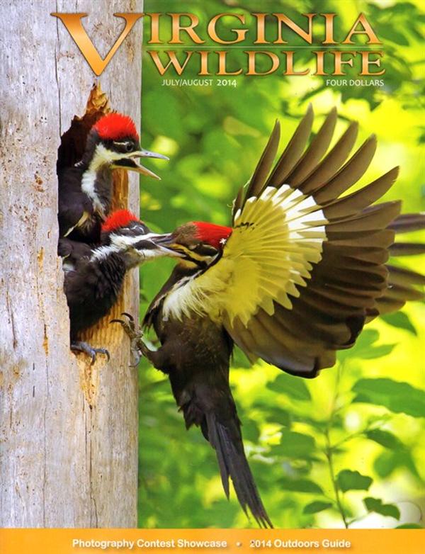 Virginia Wildlife Magazine TopMags