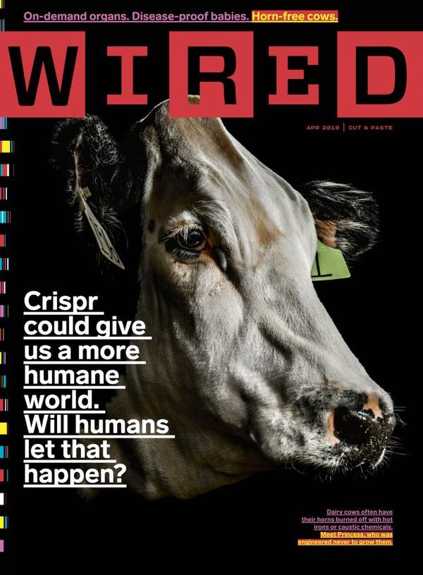 Wired Magazine | TopMags