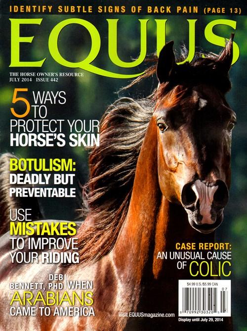 Equus