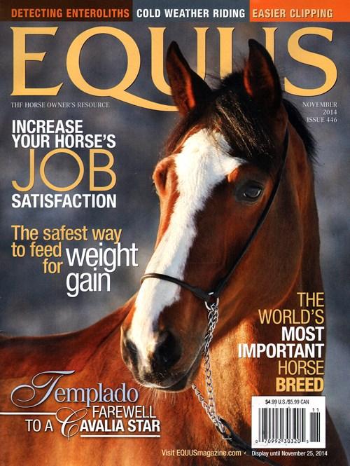 Equus