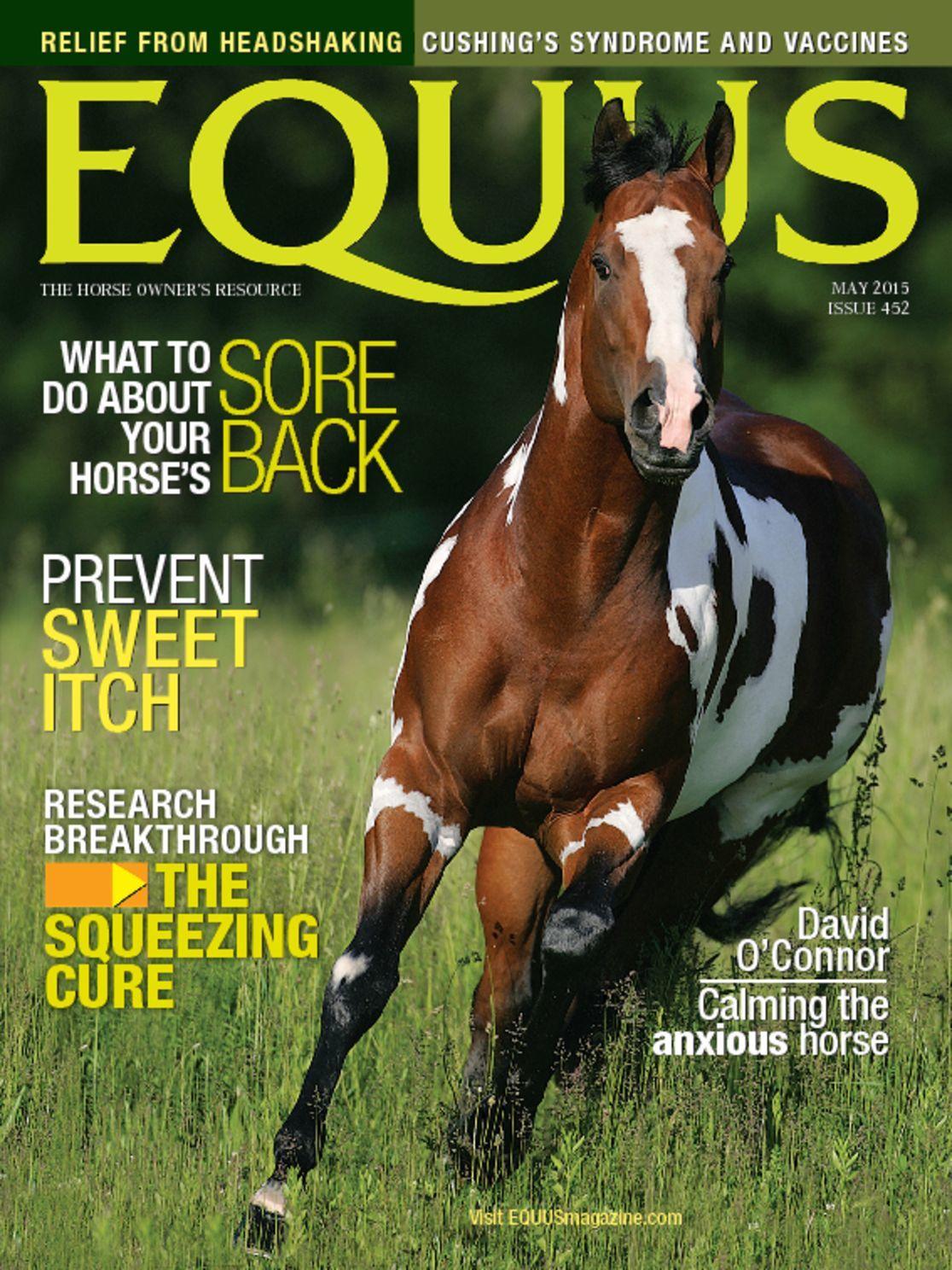 Equus
