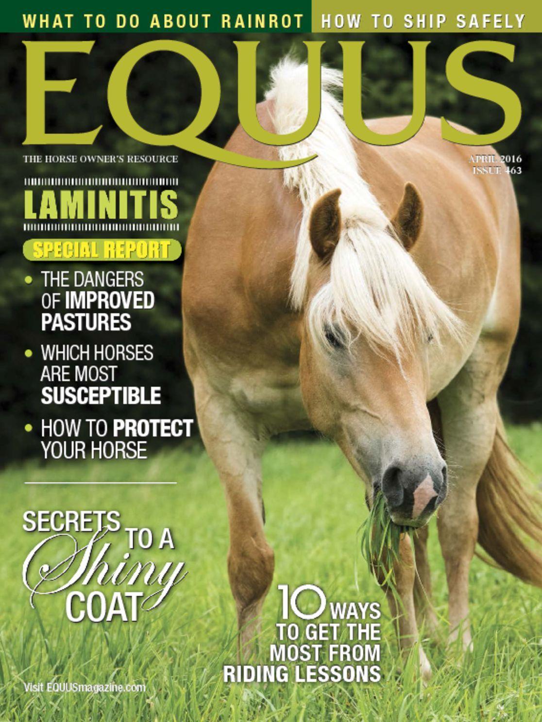 Equus