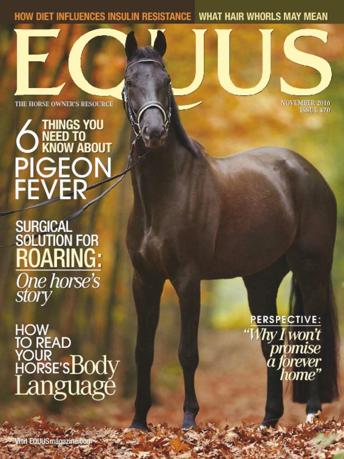 Equus