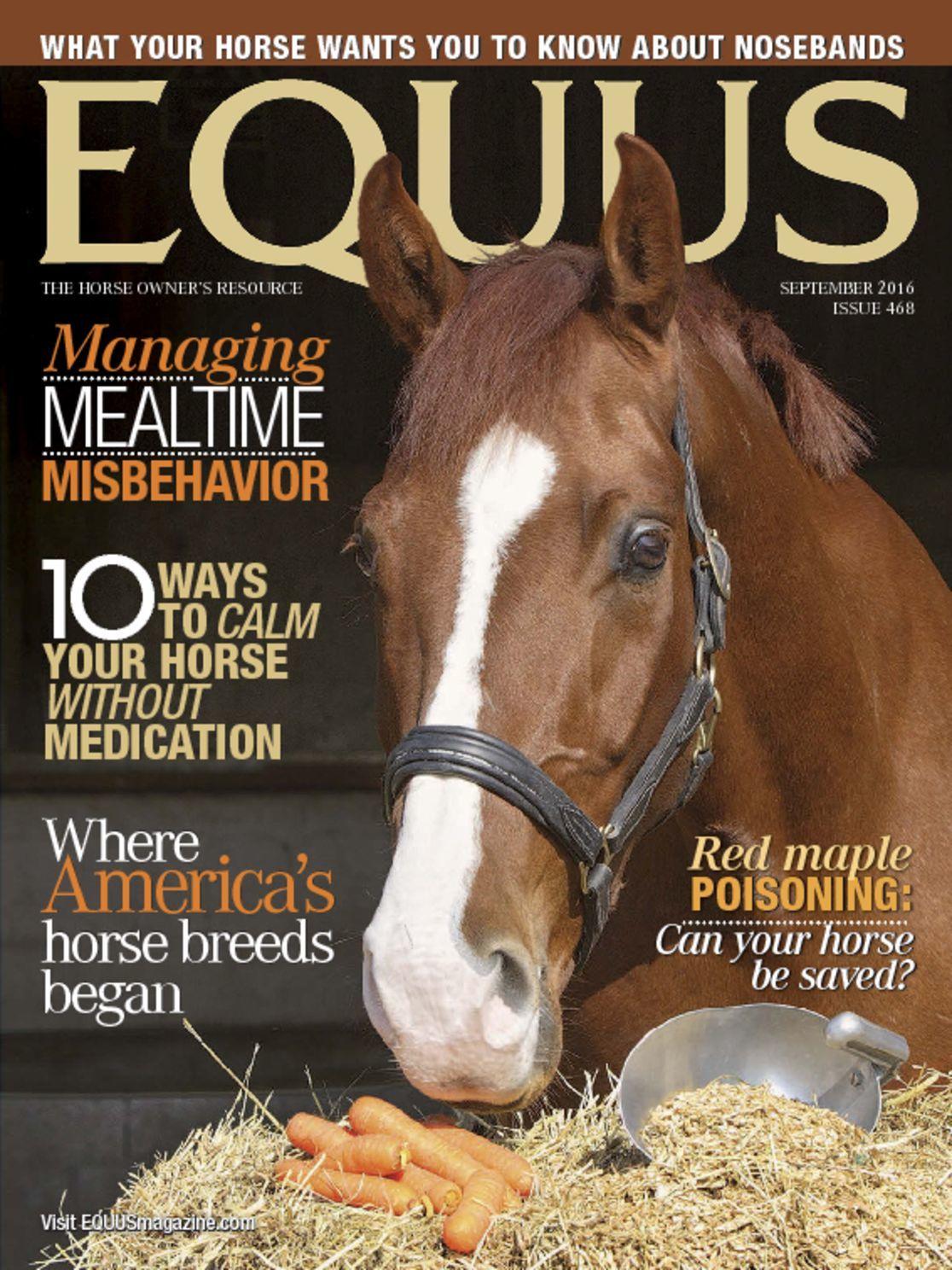 Equus