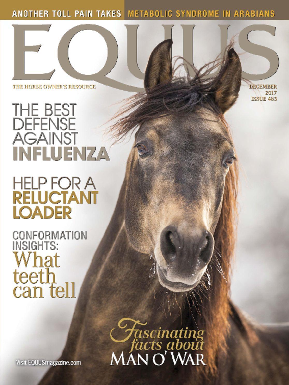 Equus
