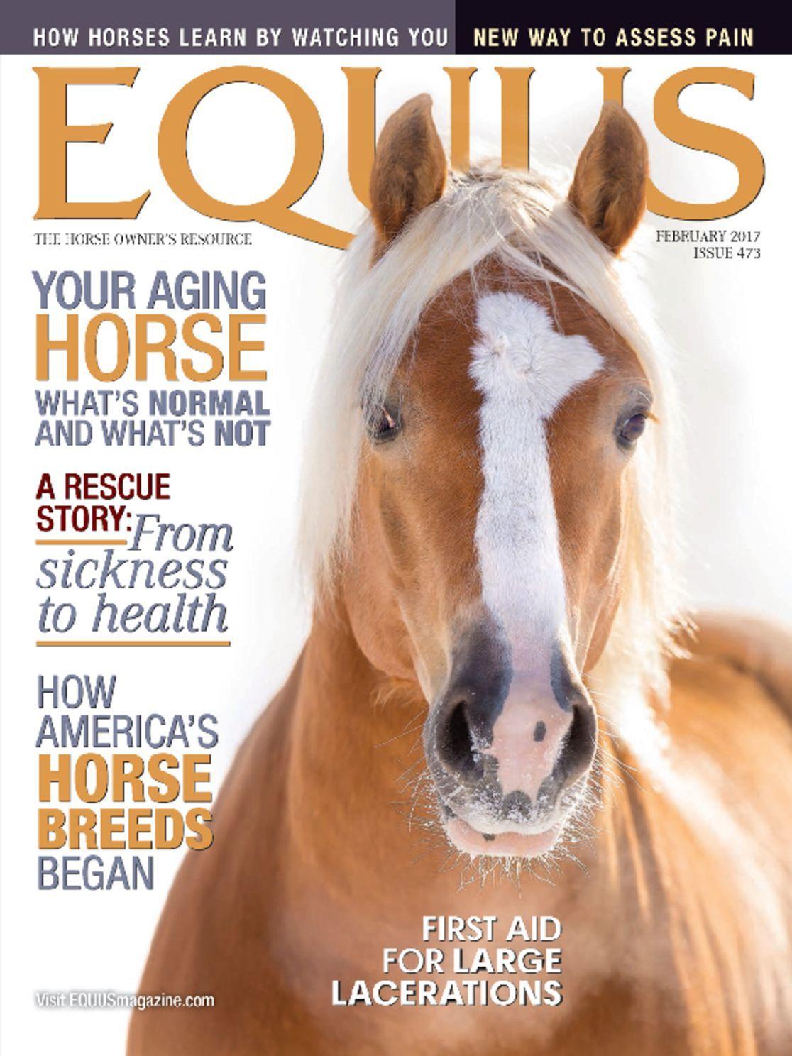 Equus
