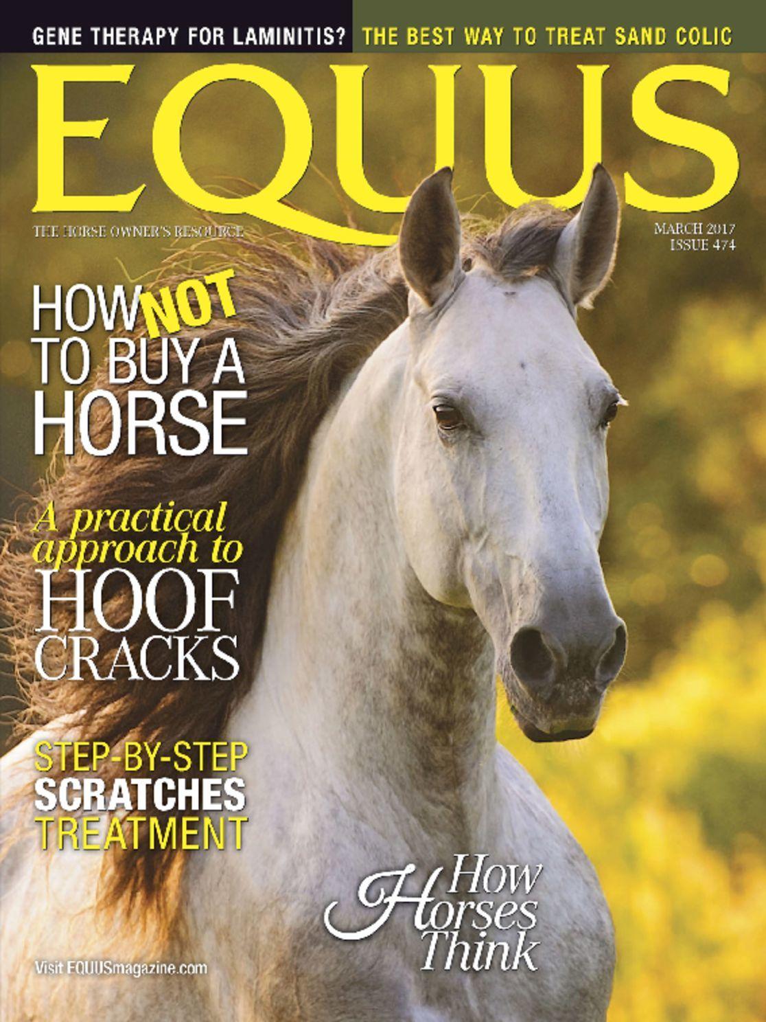 Equus