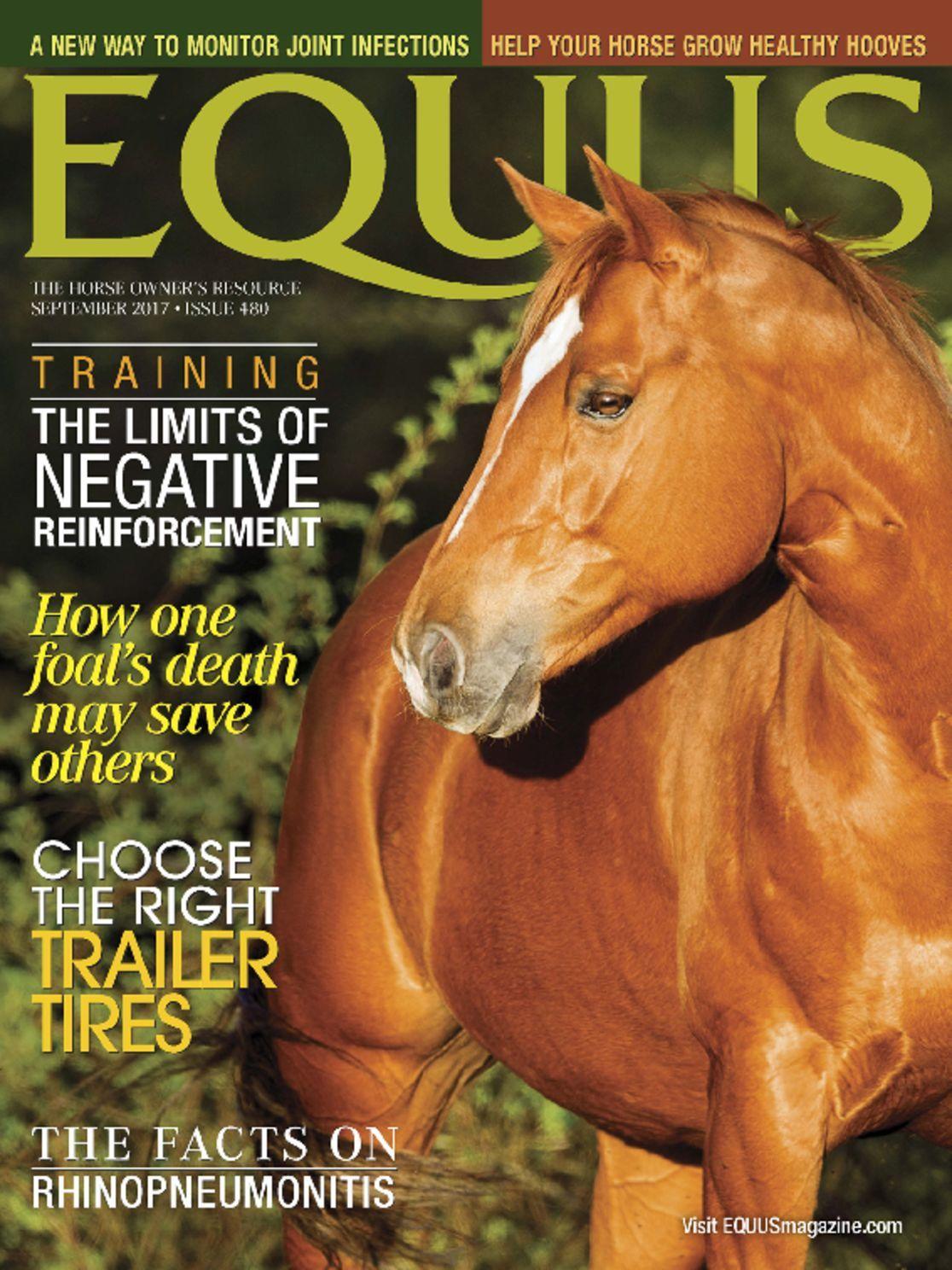 Equus