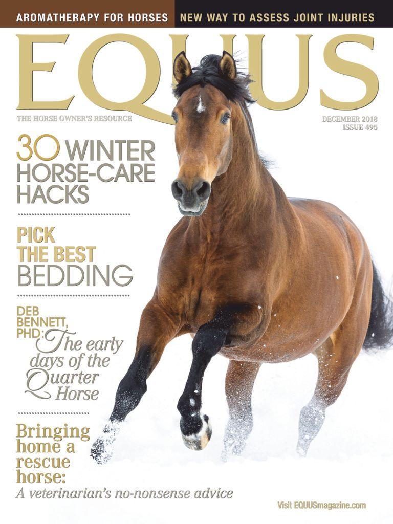 Equus
