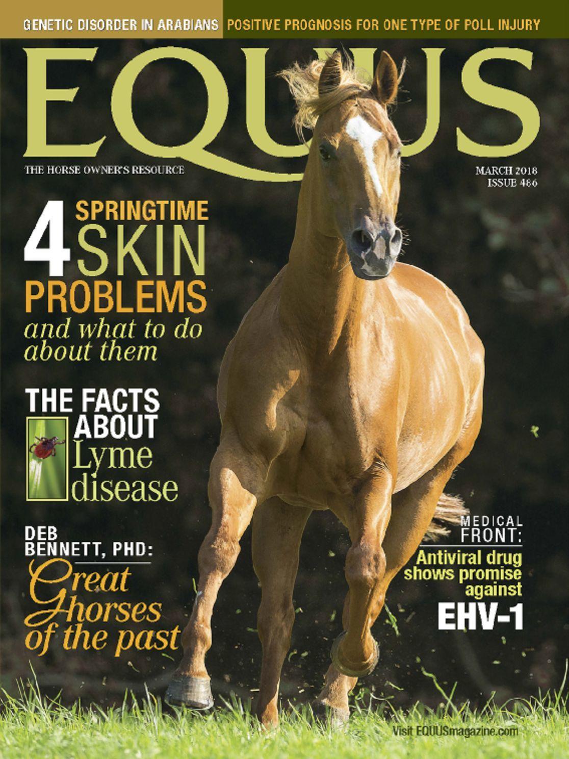 Equus