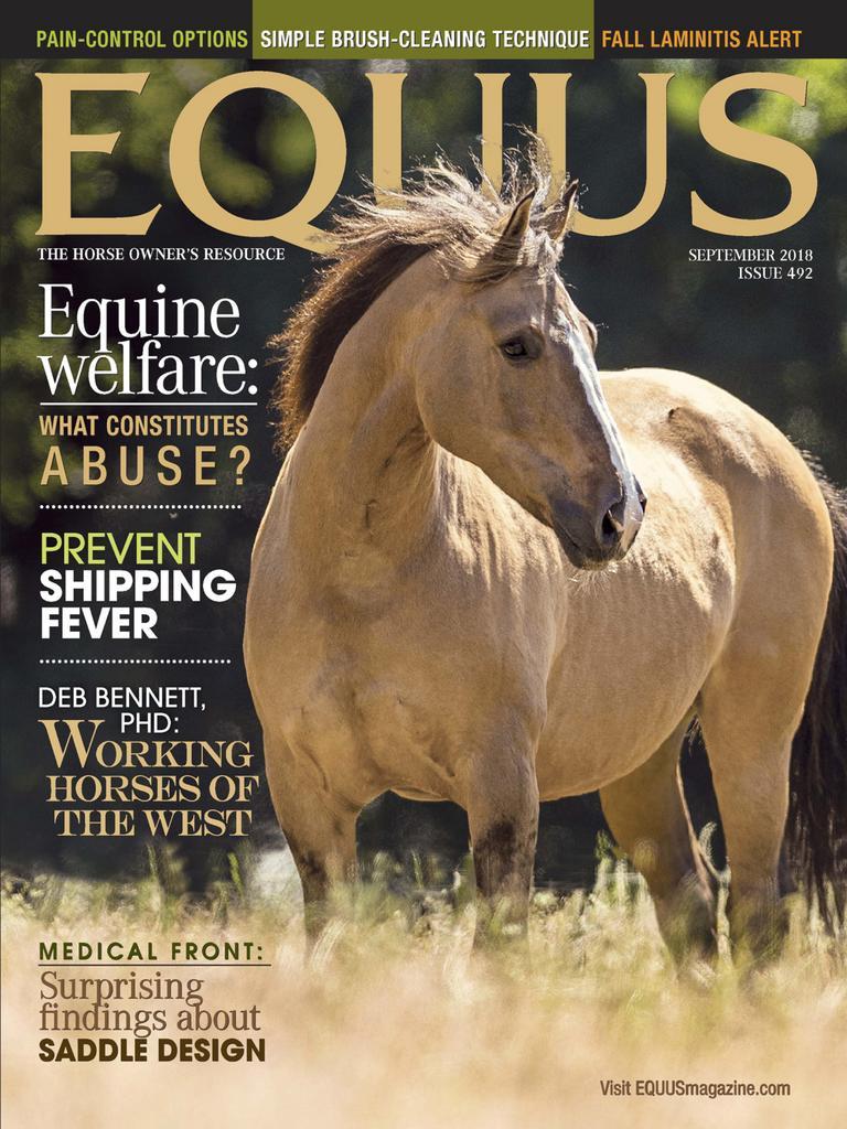 Equus