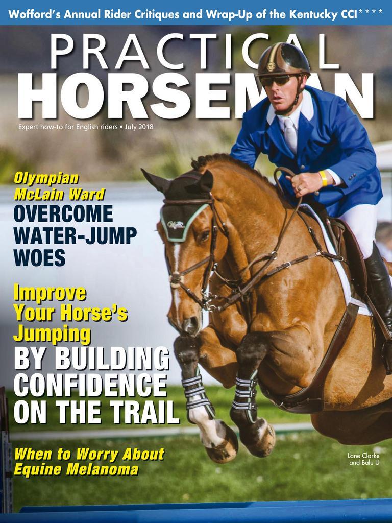 Practical Horseman