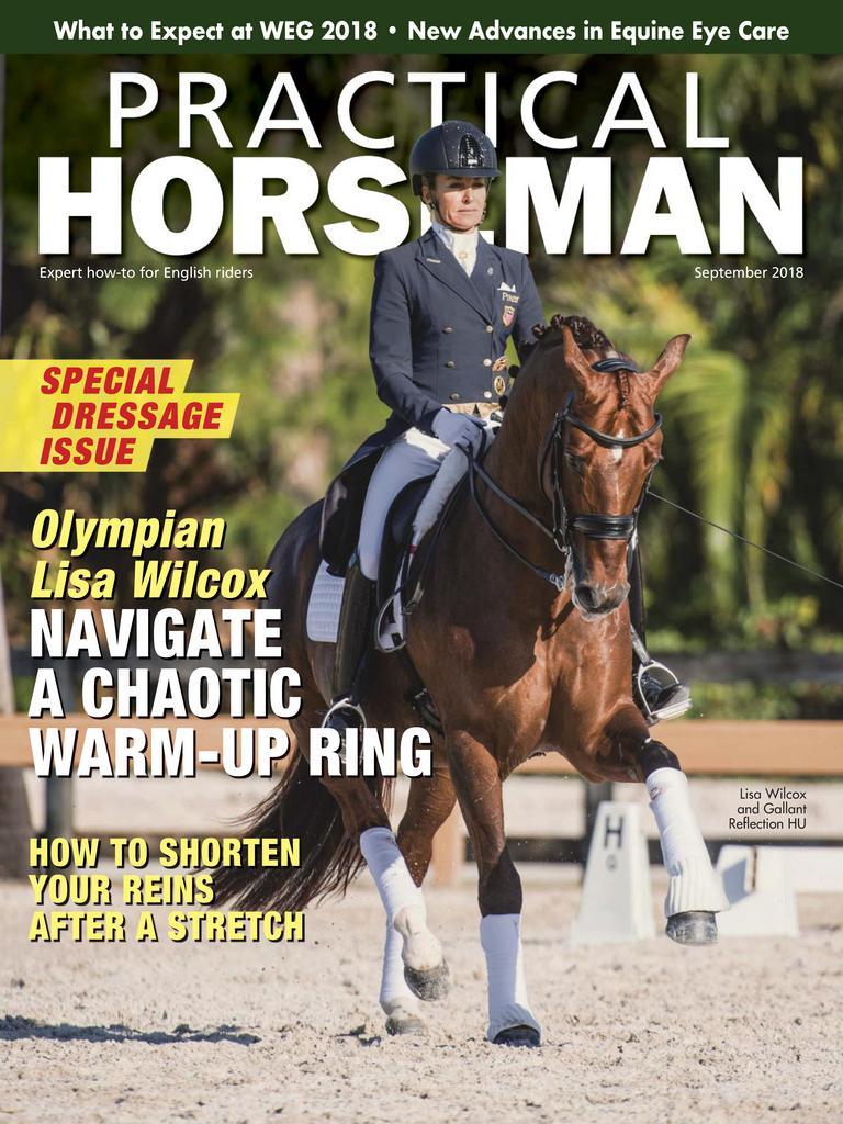 Practical Horseman