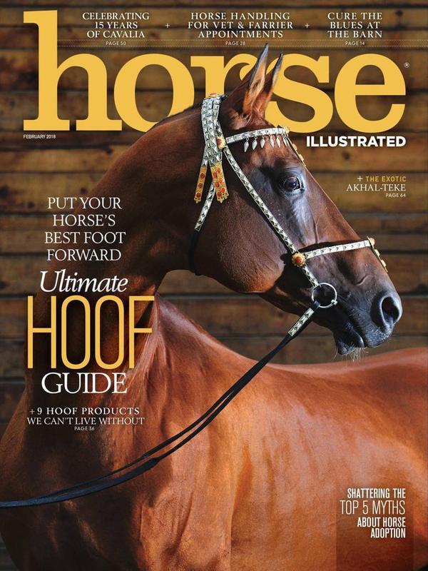 Horse Illustrated Magazine TopMags