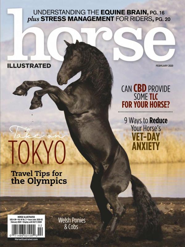 Blanket Fit for Any Horse - Horse Illustrated magazine
