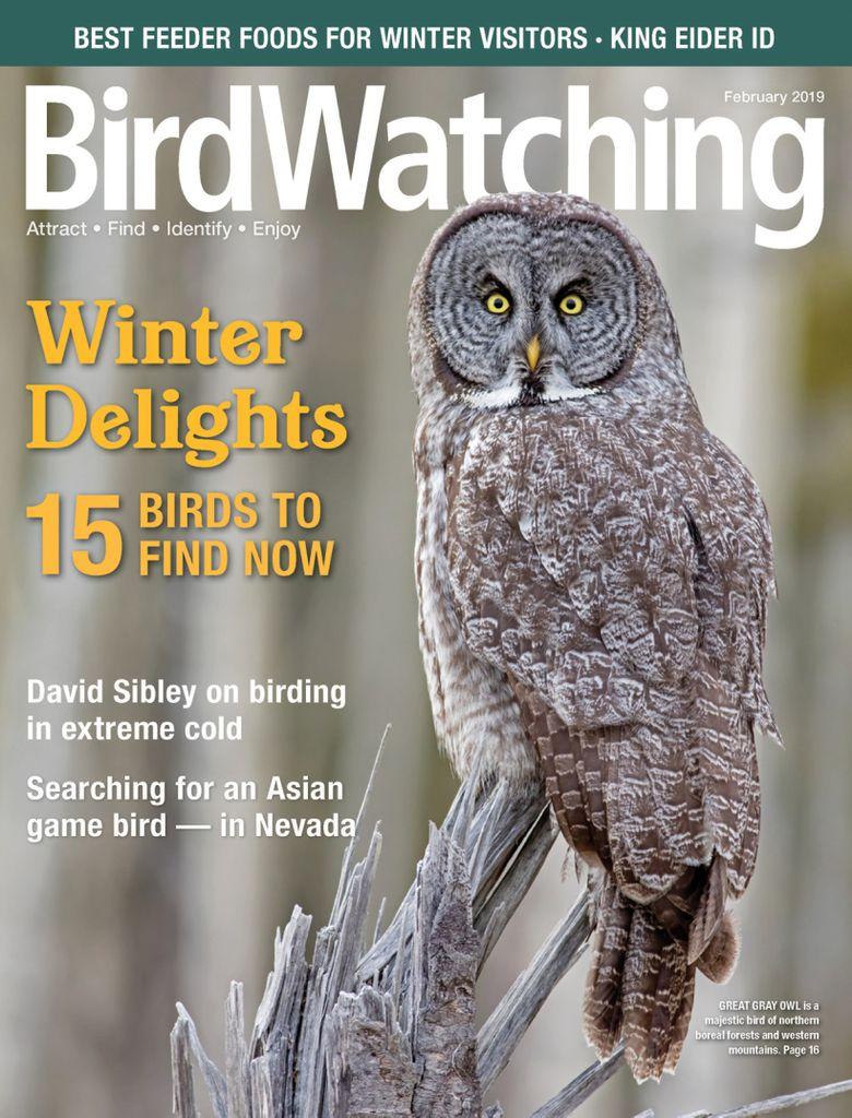 Birdwatching Magazine | TopMags