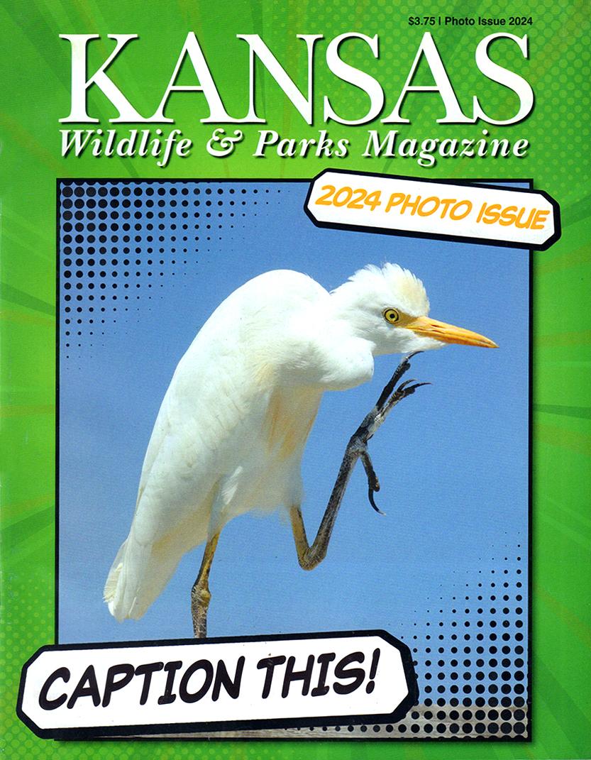 Kansas Wildlife & Parks