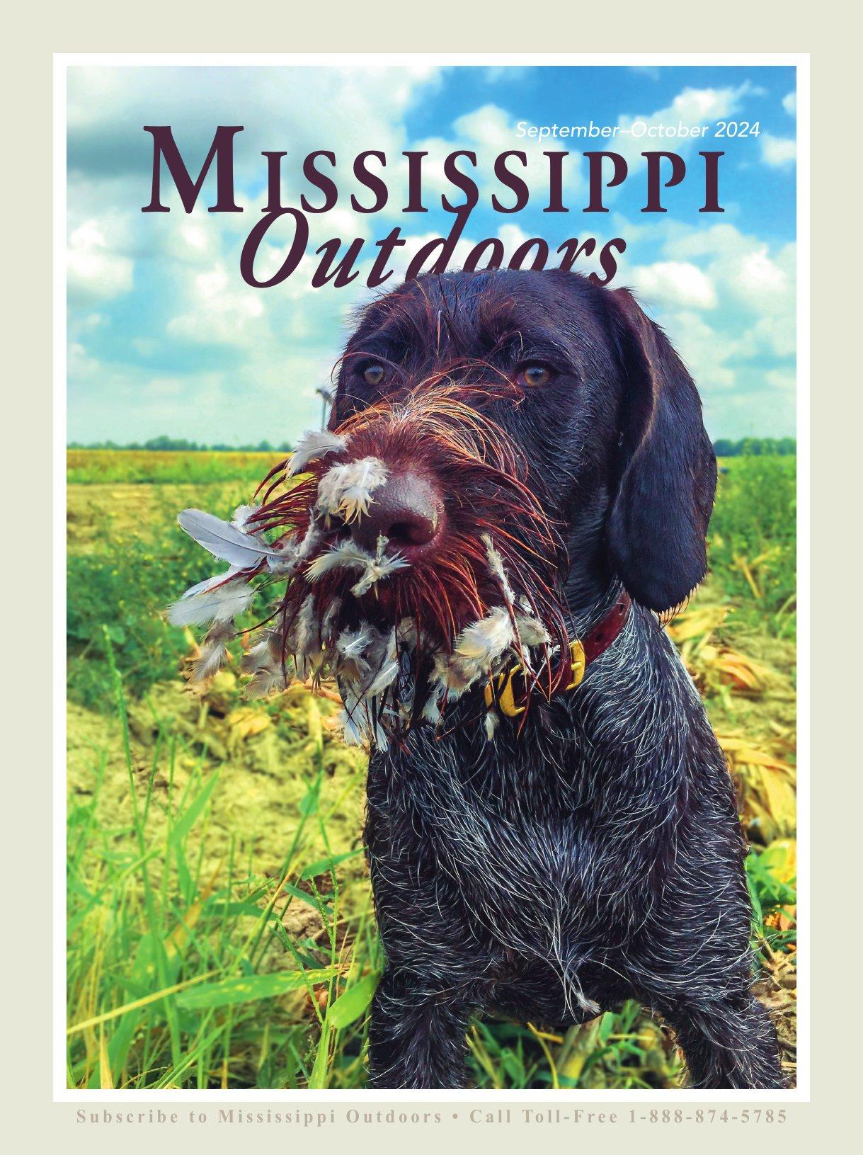 Mississippi Outdoors