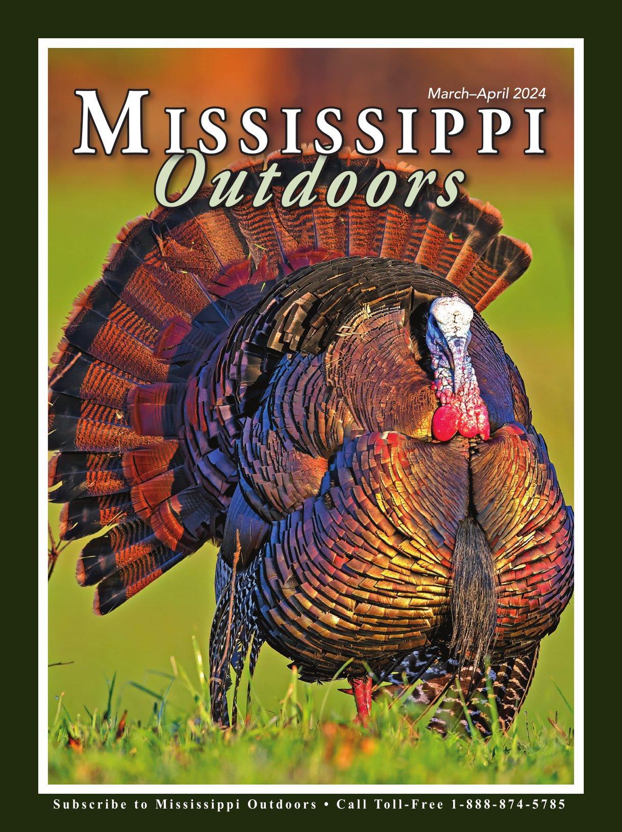 Mississippi Outdoors