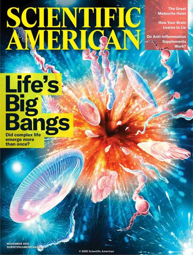 Scientific American Digital And Print Bundle