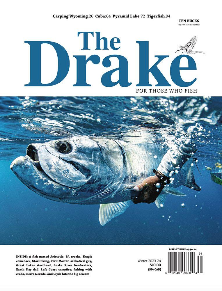 The Drake